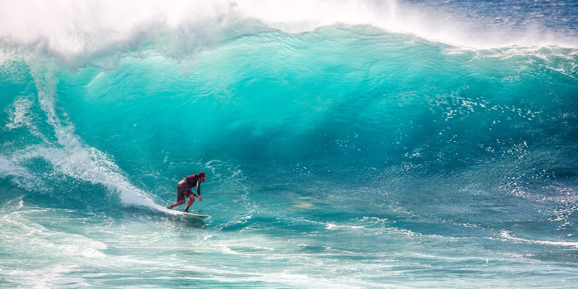 Surfer on a wave, thunderstorm, ancient library, code on the laptop screen