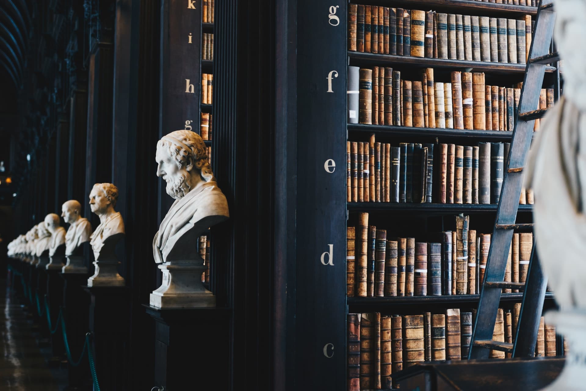 Surfer on a wave, thunderstorm, ancient library, code on the laptop screen